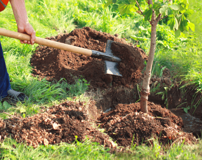 PLANTING SERVICES